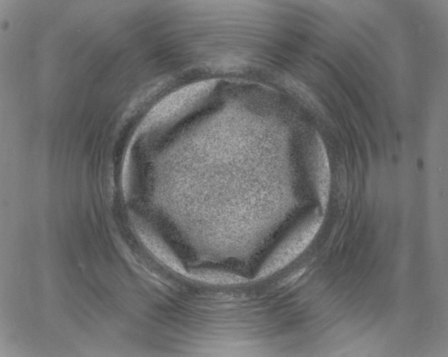 X0000065260494200603131206