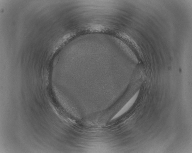 X0000065260496200603131206