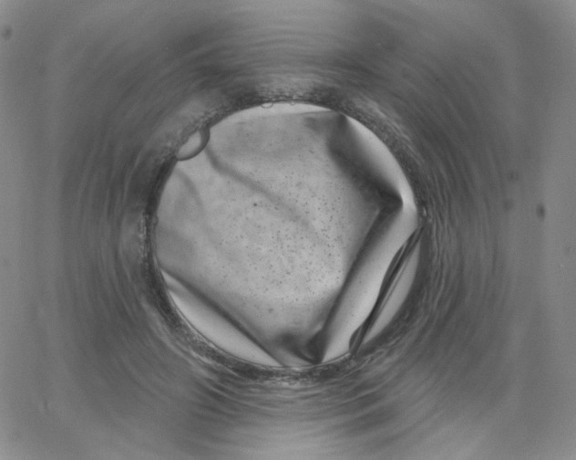 X0000065260498200603131206