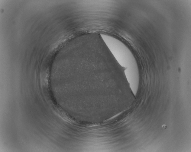 X0000065260499200603131206