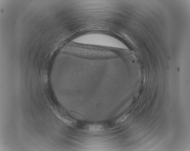 X0000065260500200603131206