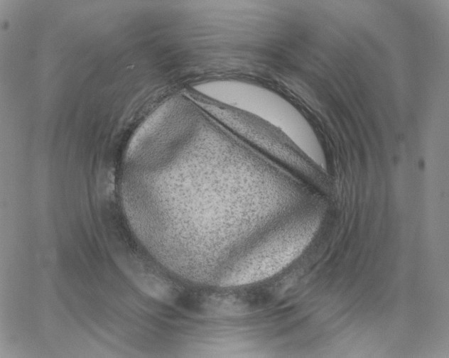 X0000065260502200603131206