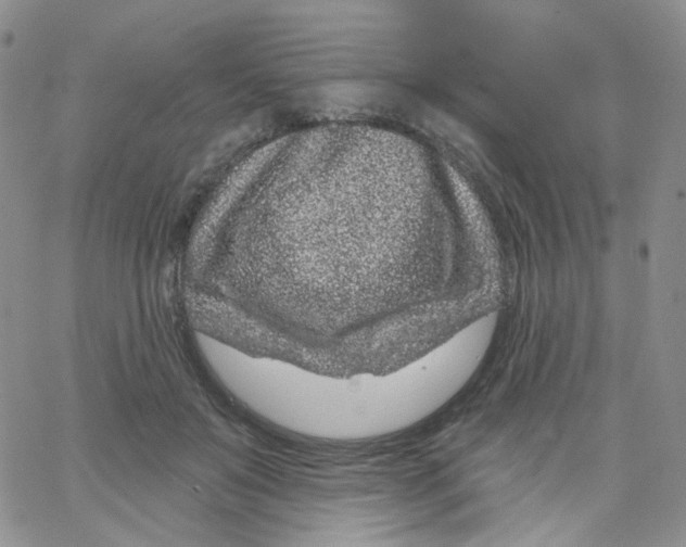 X0000065260503200603131206