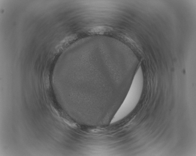 X0000065260504200603131206