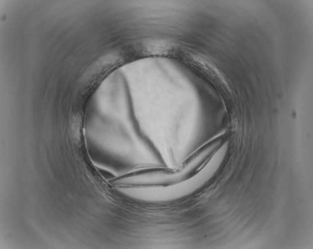 X0000065260505200603131206