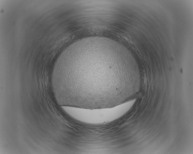 X0000065260508200603131206