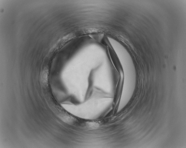 X0000065260509200603131206