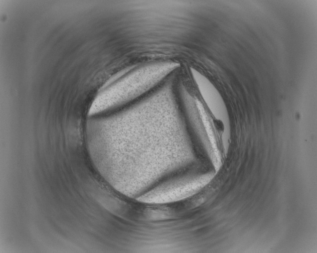 X0000065260510200603131206