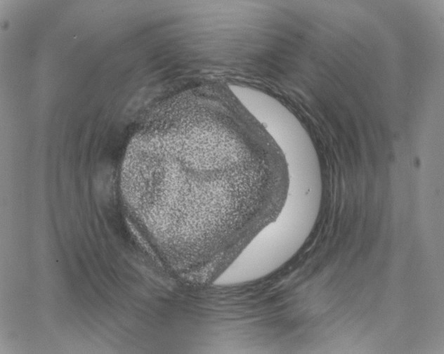 X0000065260511200603131206