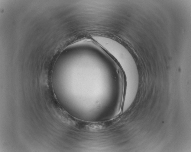 X0000065260512200603131206