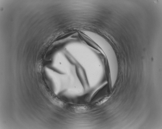 X0000065260513200603131206