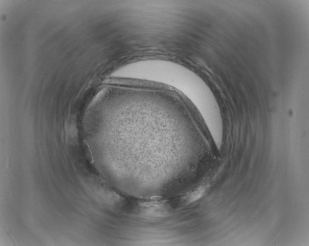 X0000065260516200603131206