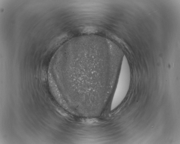 X0000065260517200603131206