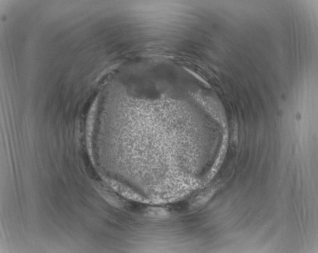 X0000065260519200603131205