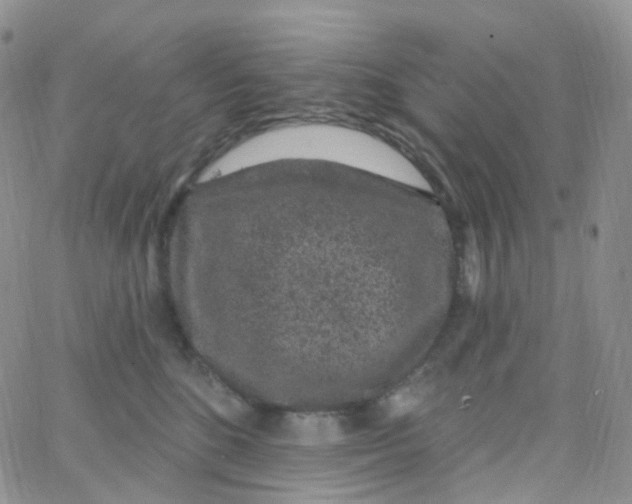 X0000065260520200603131205