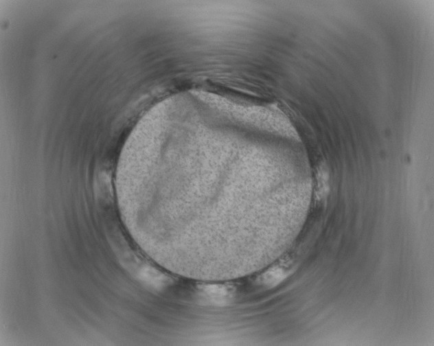 X0000065260522200603131205