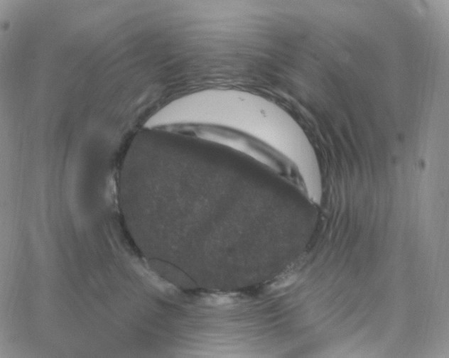 X0000065260523200603131205