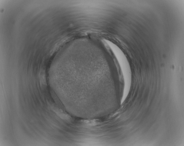 X0000065260524200603131205