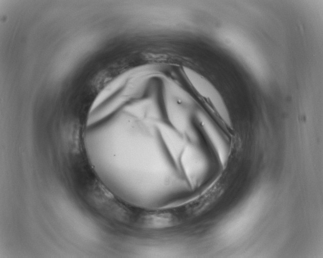 X0000065260525200603131205