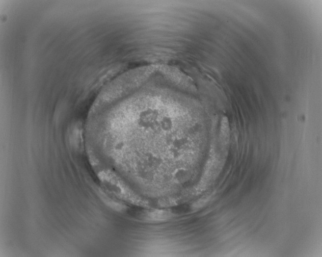 X0000065260527200603131205