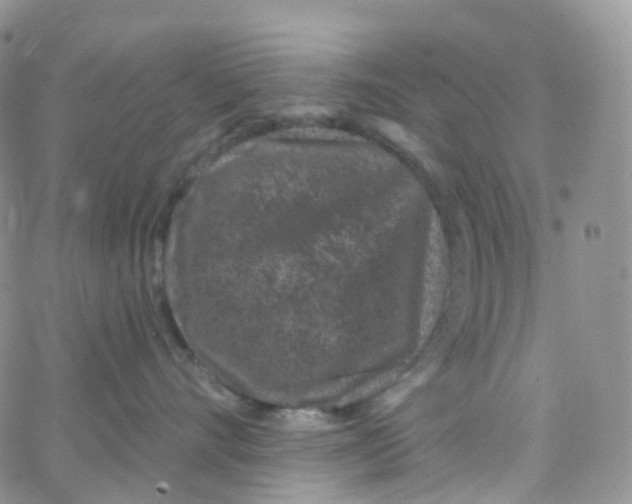 X0000065260528200603131205