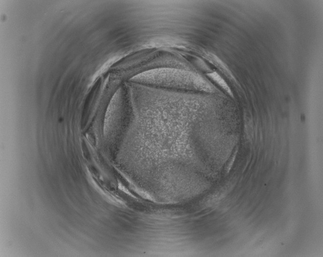 X0000065260530200603131205