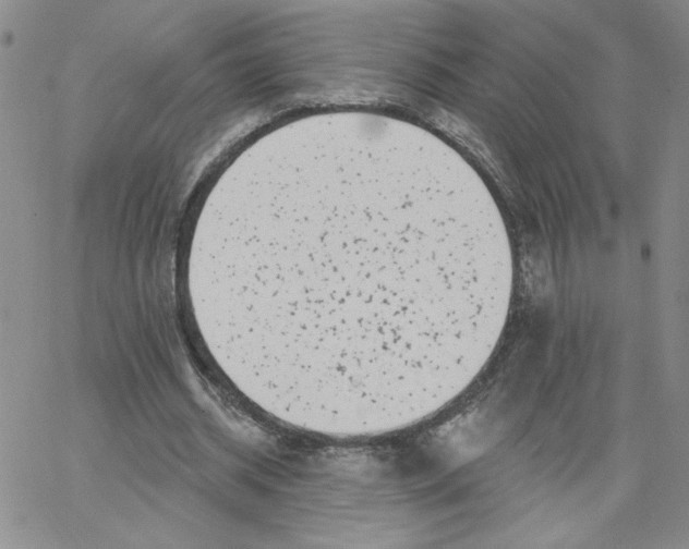 X0000065260534200603131205