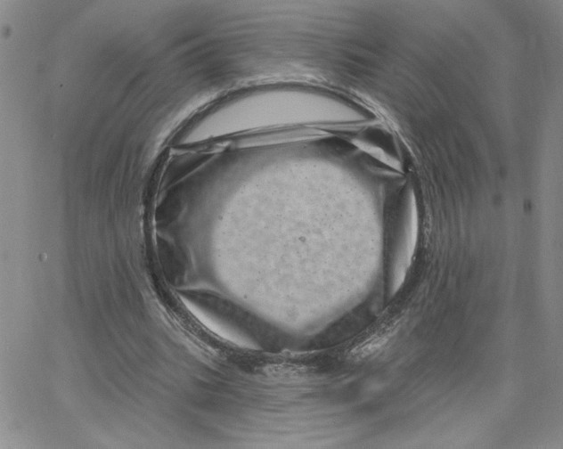 X0000065260535200603131205