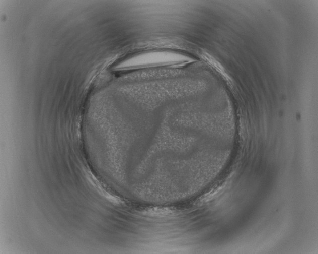 X0000065260537200603131205