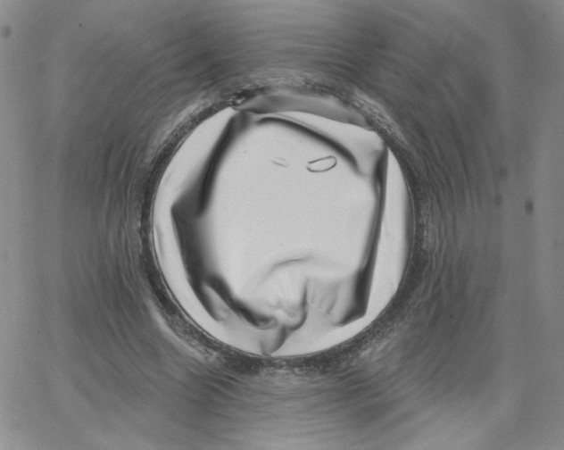 X0000065260538200603131205