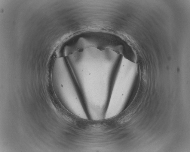 X0000065260540200603131205