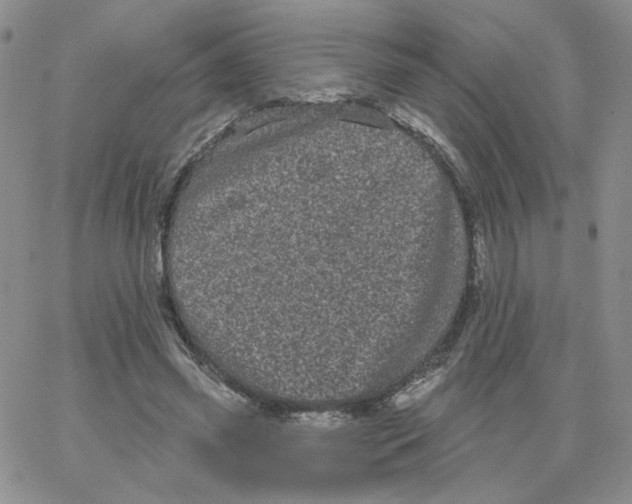 X0000065260541200603131205