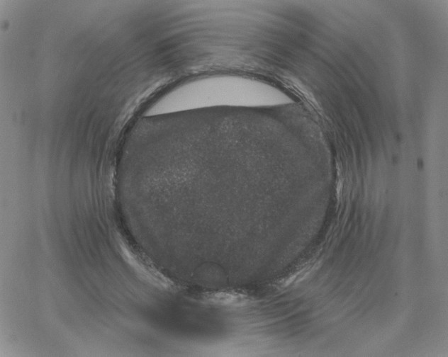 X0000065260542200603131205