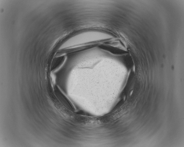 X0000065260543200603131205