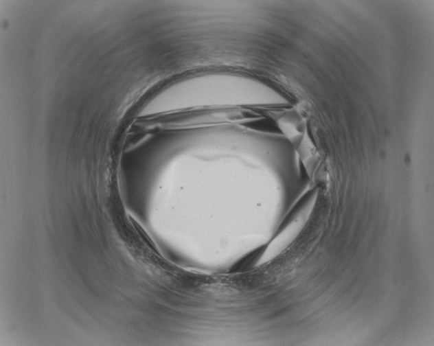 X0000065260544200603131205