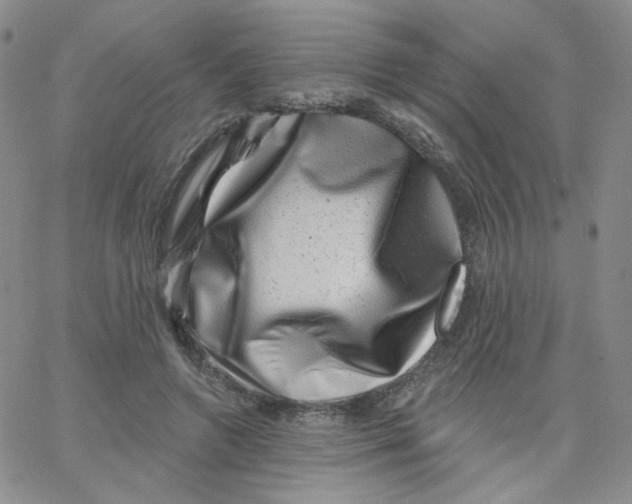 X0000065260546200603131205