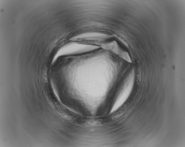 X0000065260547200603131205