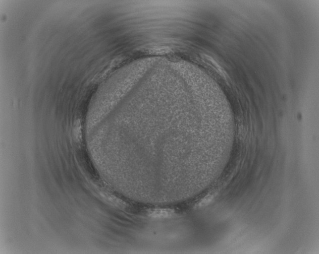 X0000065260549200603131205