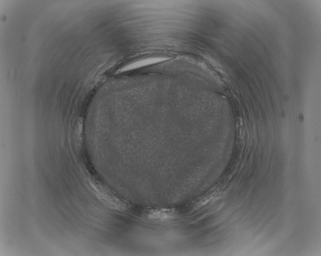 X0000065260550200603131205