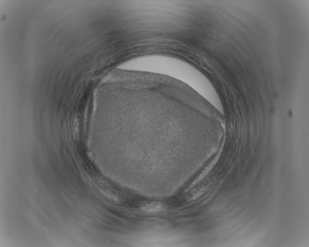 X0000065260551200603131205