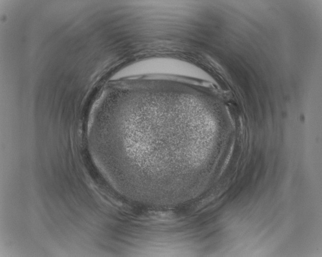 X0000065260552200603131205