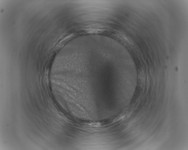 X0000065260554200603131205