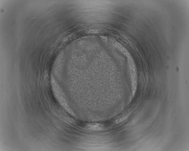 X0000065260557200603131205