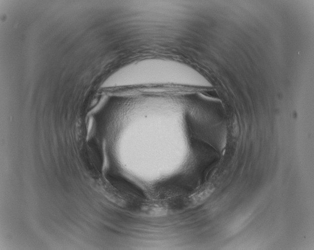 X0000065260559200603131205