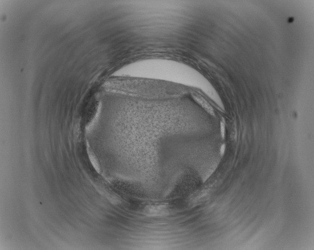 X0000065260560200603131205