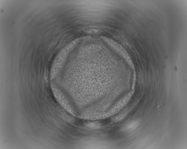 X0000065260561200603131205