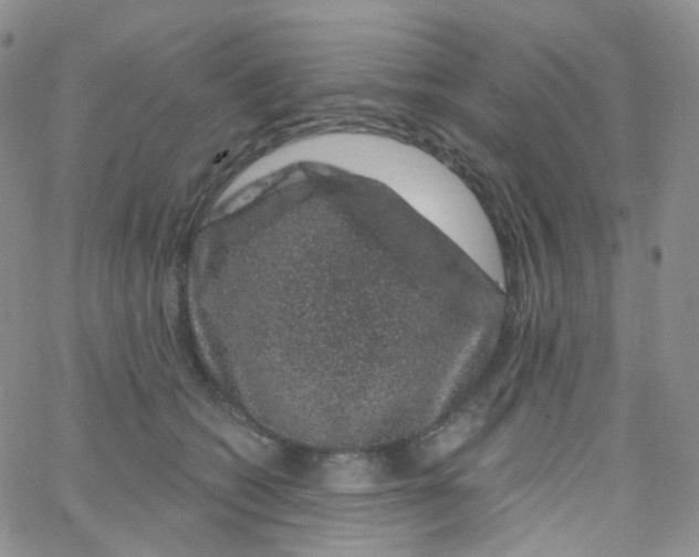 X0000065260562200603131205