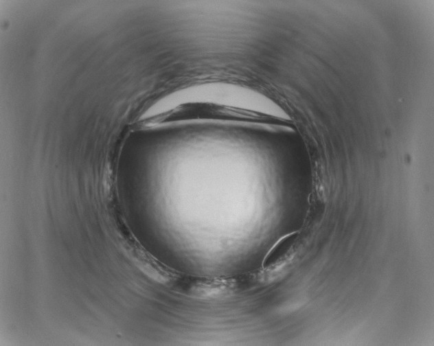 X0000065260563200603131205