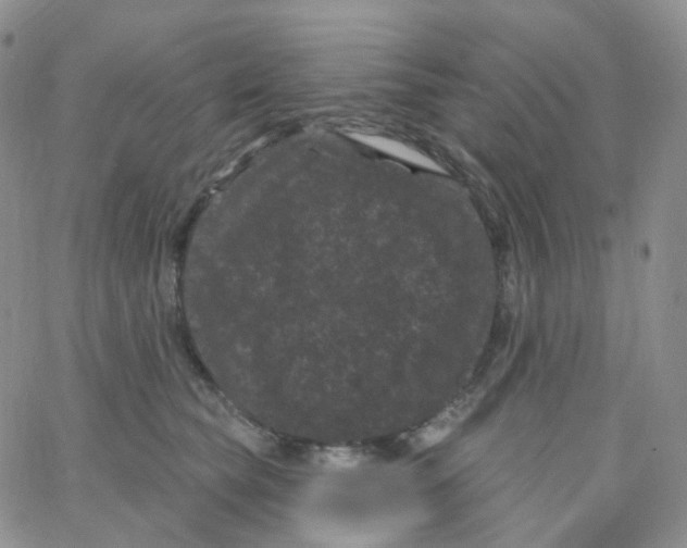 X0000065260565200603131205