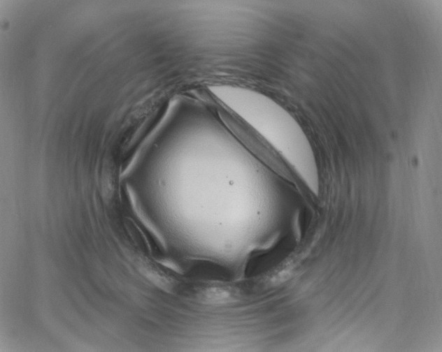 X0000065260566200603131205